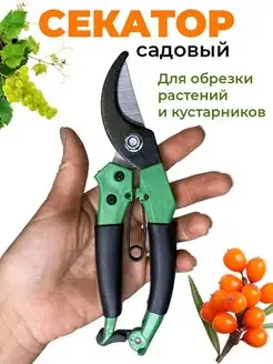 Распродажа 