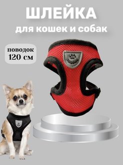 Распродажа  Размеры: 30-34 