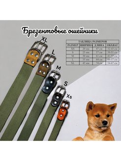 Распродажа  Размеры: 39-51 32-43 41-55 44-57 54-67 