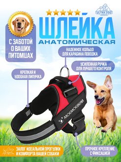 Распродажа  Размеры: 32 - 38 38 - 42 45 - 57 55 - 70 67 - 85 70 - 93 82 - 113 