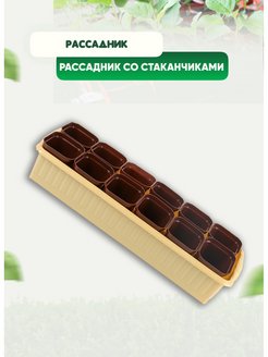 Распродажа 