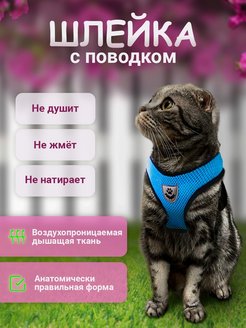 Распродажа  Размеры: 26-38 37-47 