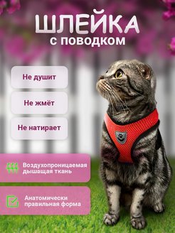 Распродажа  Размеры: 26-38 37-47 