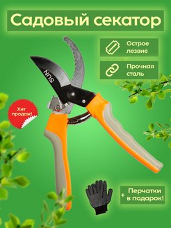 Распродажа 
