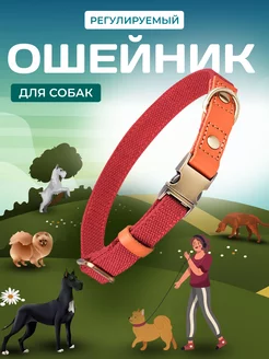 Распродажа  Размеры: 41-60 34-50 30-40 