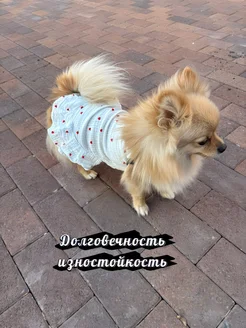 Распродажа  Размеры: спина-40см. спина-30см. спина-25см. спина-20см. спина-35см. спина-15см.