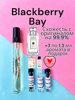 Скидка на Масляные духи стойкие со шлейфом Blackberry Bay 10 мл