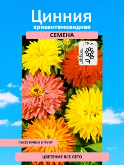 Распродажа