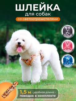 Распродажа  Размеры: 24-28 33-45 30-34 39-48 