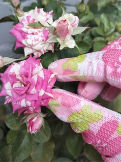 Распродажа