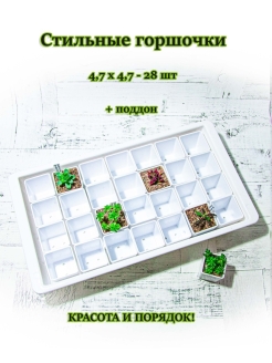 Распродажа 