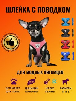 Распродажа  Размеры: 40-55 33-45 24-28 